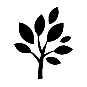 Landscape Garden / Park